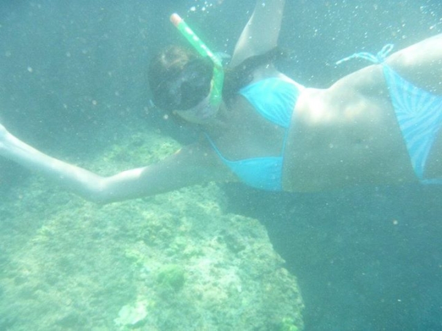  under the sea 